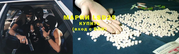 гашик Артём