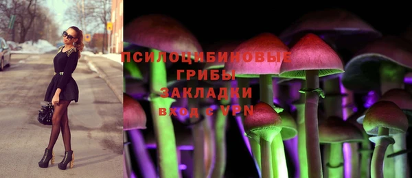 бошки Волосово