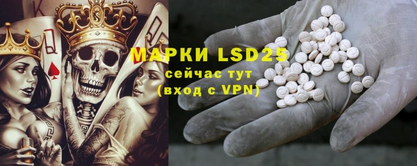 PSILOCYBIN Верхний Тагил