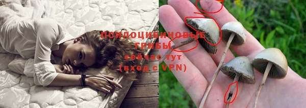ПСИЛОЦИБИНОВЫЕ ГРИБЫ Верхнеуральск