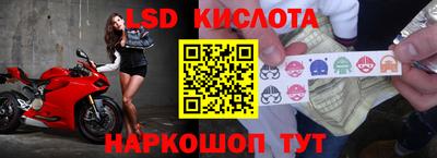 прущие грибы Берёзовский