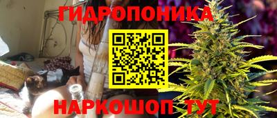 прущие грибы Берёзовский