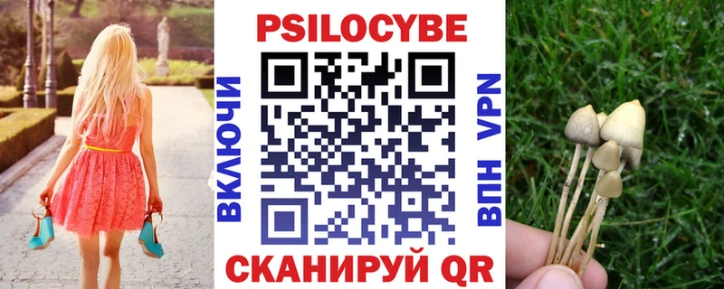 Псилоцибиновые грибы MAGIC MUSHROOMS  наркотики  Вязьма 