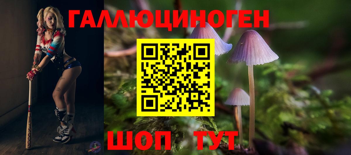 Галлюциногенные грибы Psilocybe Вязьма